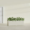 Hudson Extra Large Long Rectangle Fiberglass Planter - 100 in x 18 in x 28 in - Satin Beige - Satin Beige,100 in x 18 in x 28 in
