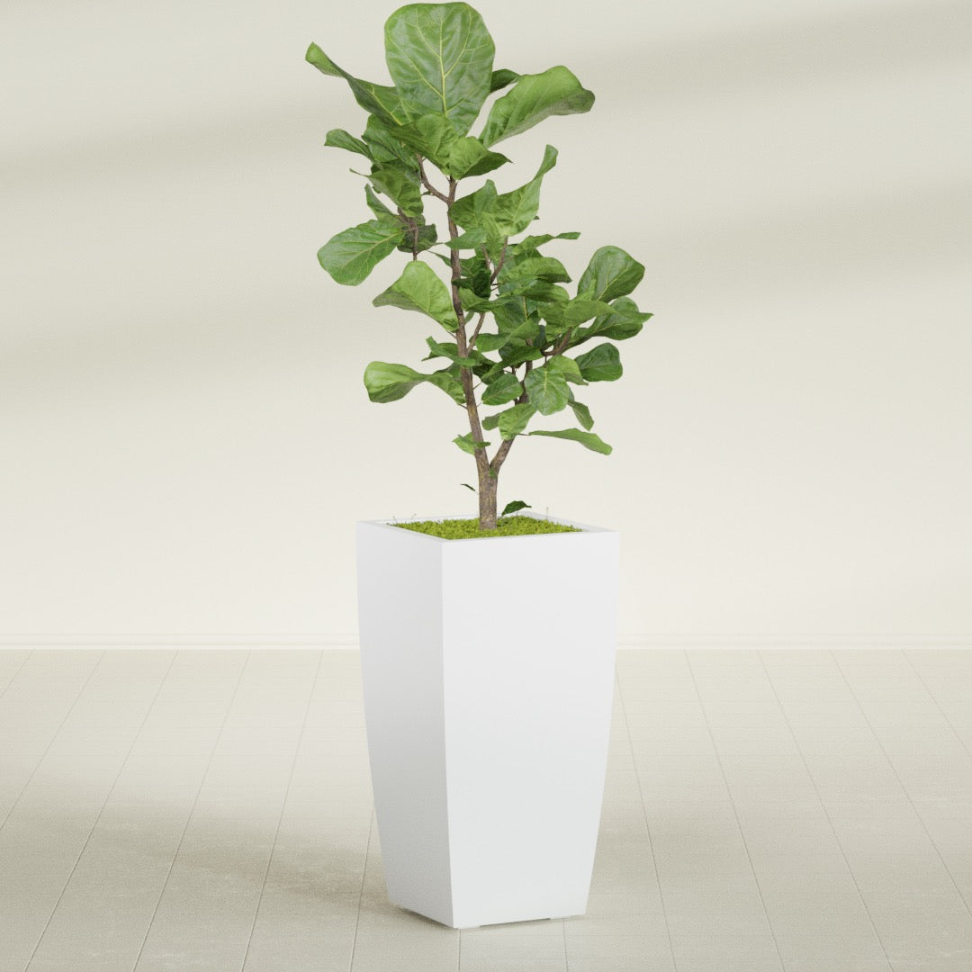 Toulan Large Tall Tapered Square Fiberglass Planter - 18 in x 18 in x 36 in - Gloss White - Gloss White,18 in x 18 in x 36 in