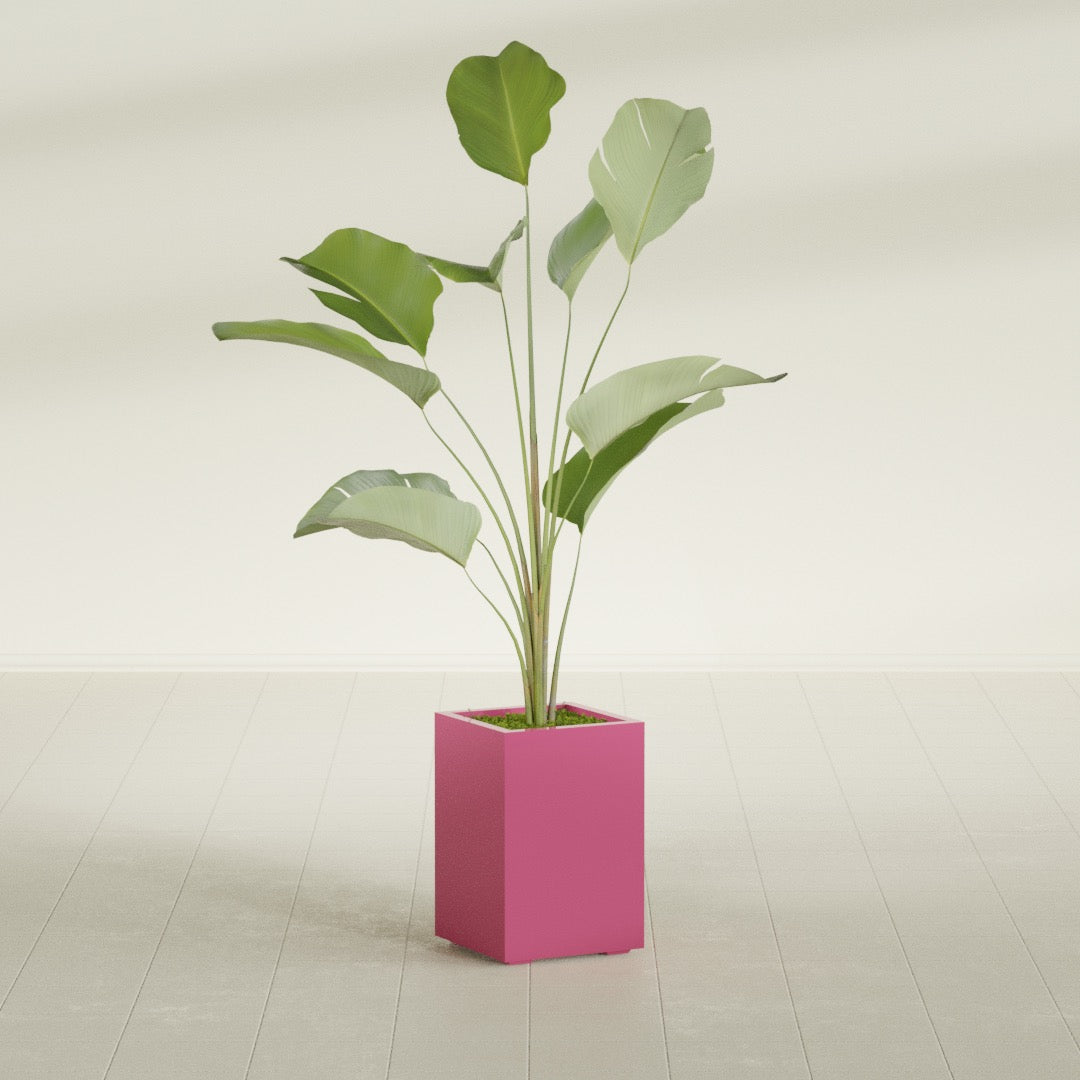 Tolga Medium Rectangle Fiberglass Planter - 16 in x 16 in x 24 in - Gloss Pink Violet - Gloss Pink Violet,16 in x 16 in x 24 in