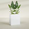Darwin Large Rectangle Fiberglass Planter - 36 in x 24 in x 42 in - Gloss White - Gloss White,36 in x 24 in x 42 in