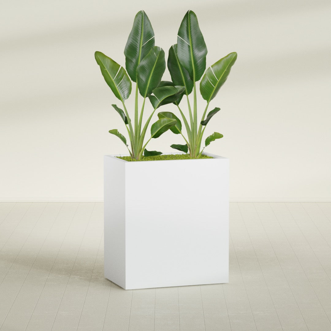 Darwin Large Rectangle Fiberglass Planter - 36 in x 24 in x 42 in - Gloss White - Gloss White,36 in x 24 in x 42 in