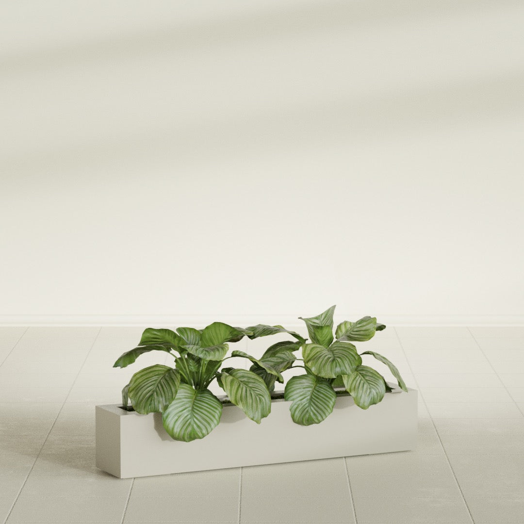 Salon Large Tall Rectangle Fiberglass Planter - 42 in x 8 in x 8 in - Satin Beige - Satin Beige,42 in x 8 in x 8 in