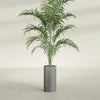 Corry Medium Tall Cylinder Fiberglass Planter - 10 in x 10 in x 20 in - Metallic Gunmetal - Metallic Gunmetal,10 in x 10 in x 20 in