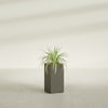 Hollywood Medium Rectangle Fiberglass Planter - 12 in x 12 in x 24 in - Matte Bronze - Matte Bronze,12 in x 12 in x 24 in