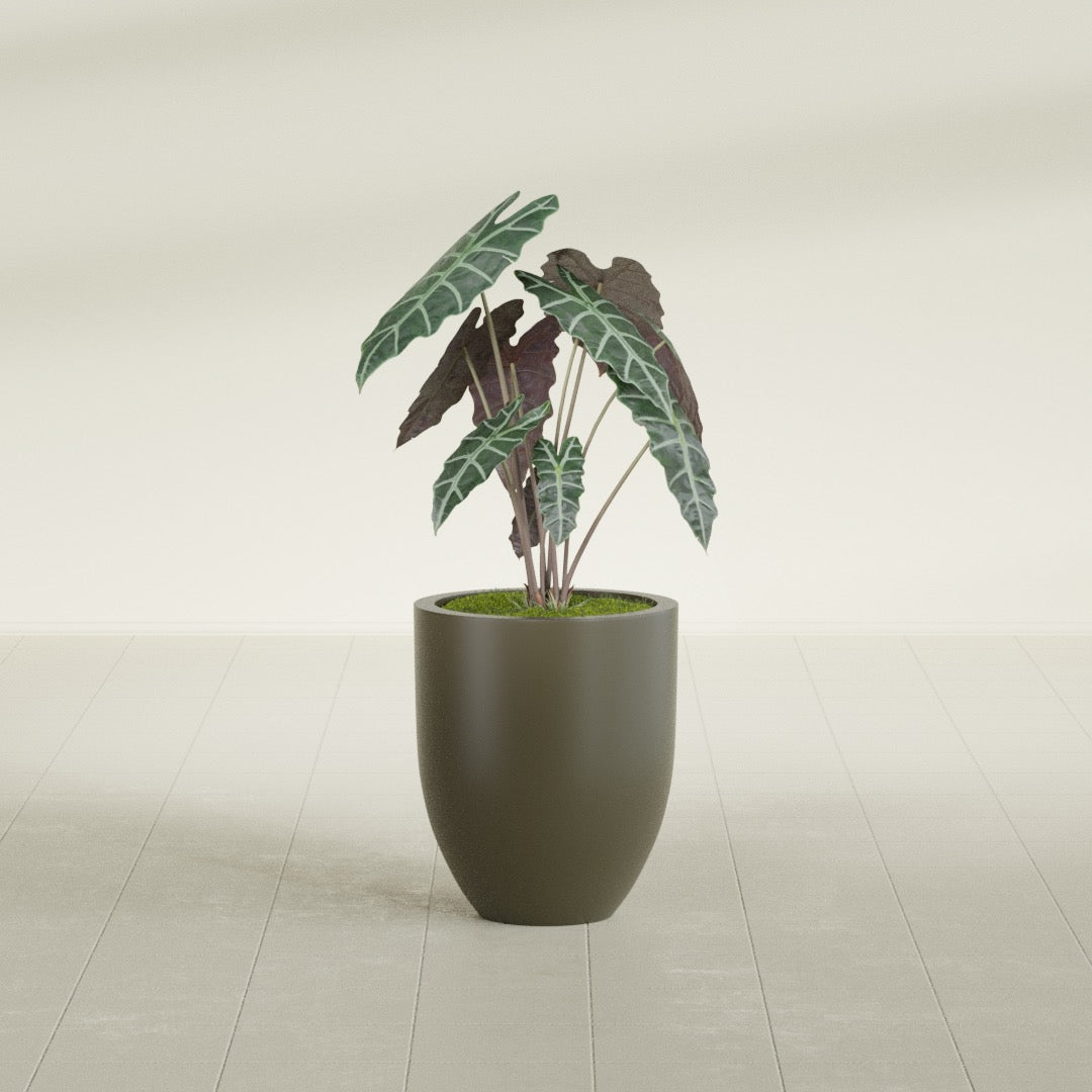 Valencia Small Round Fiberglass Planter - 15 in x 15 in x 18 in - Matte Bronze - Matte Bronze,15 in x 15 in x 18 in