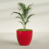 Wannsee Large Round Fiberglass Planter - 44 in x 44 in x 39 in - Gloss Red - Gloss Red,44 in x 44 in x 39 in