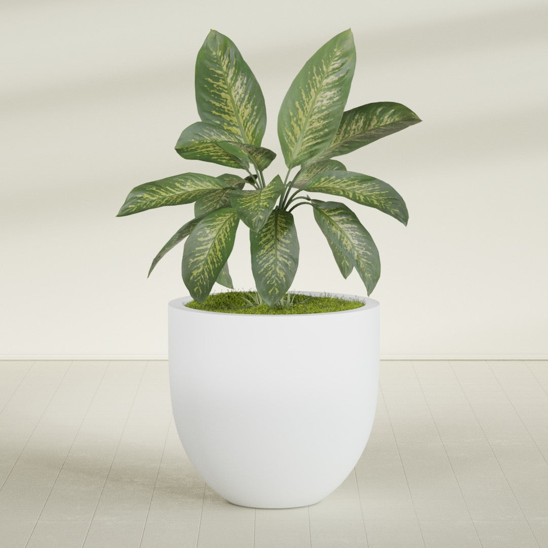 Alzira Large Round Fiberglass Planter - 36 in x 36 in x 34 in - Gloss White - Gloss White,36 in x 36 in x 34 in