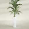 Corry Large Tall Cylinder Fiberglass Planter - 10 in x 10 in x 30 in - Matte White - Matte White,10 in x 10 in x 30 in