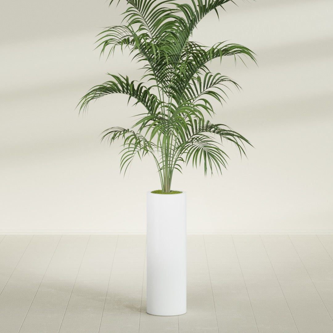 Corry Large Tall Cylinder Fiberglass Planter - 10 in x 10 in x 30 in - Matte White - Matte White,10 in x 10 in x 30 in