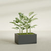 Torino Large Wide Rectangle Fiberglass Planter - 36 in x 24 in x 18 in - Matte Charcoal - Matte Charcoal,36 in x 24 in x 18 in