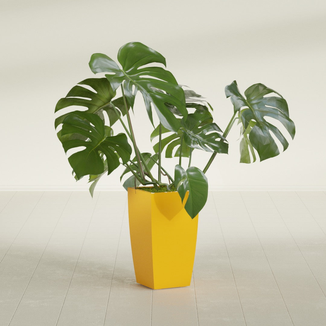 Toulan Medium Tall Tapered Square Fiberglass Planter - 12 in x 12 in x 22 in - Gloss Saffron - Gloss Saffron,12 in x 12 in x 22 in