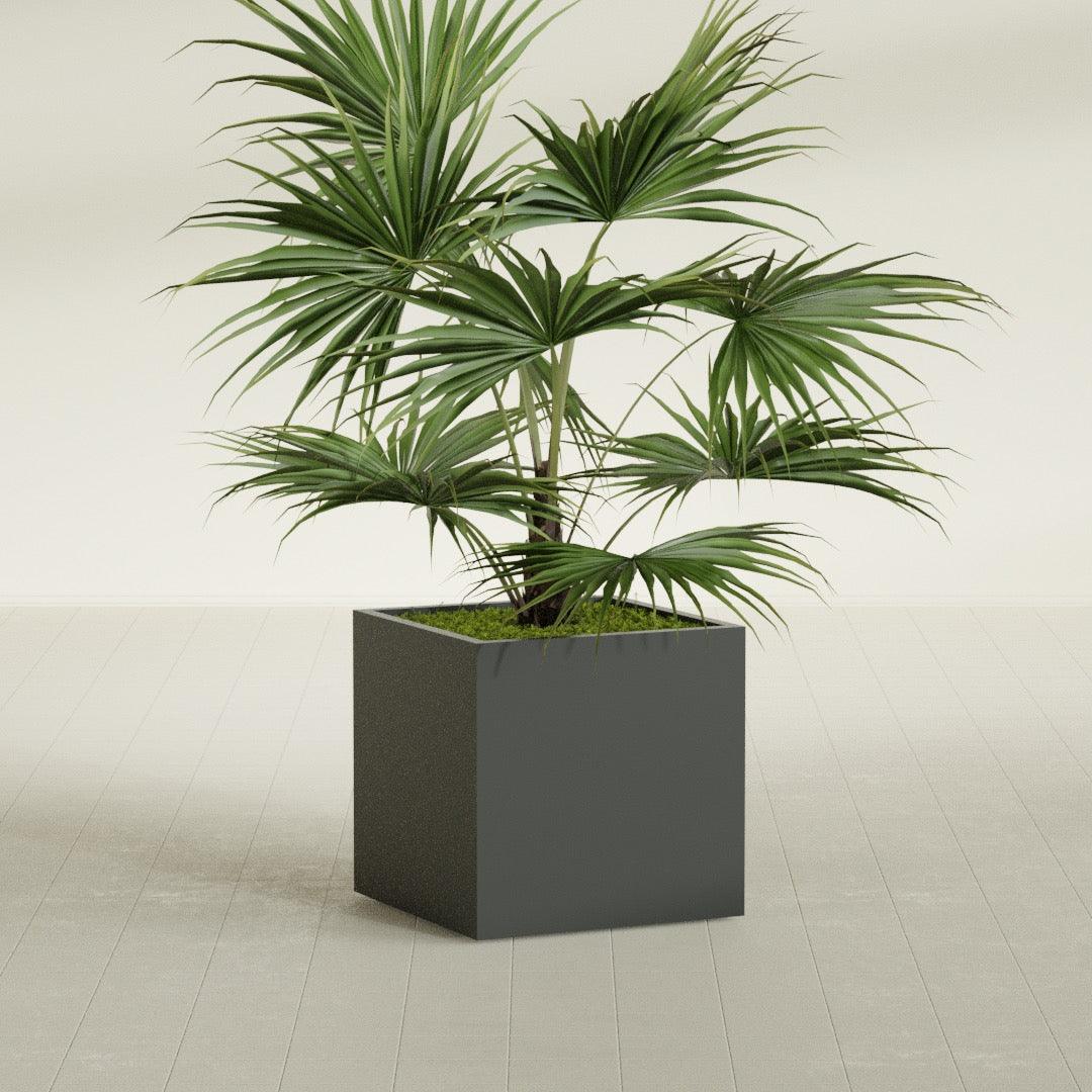 Montroy Medium Cube Square Fiberglass Planter - 28 in x 28 in x 28 in - Matte Charcoal - Matte Charcoal,28 in x 28 in x 28 in