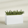Brisbane Extra Large Long Rectangle Fiberglass Planter - 60 in x 24 in x 32 in - Gloss White - Gloss White,60 in x 24 in x 32 in