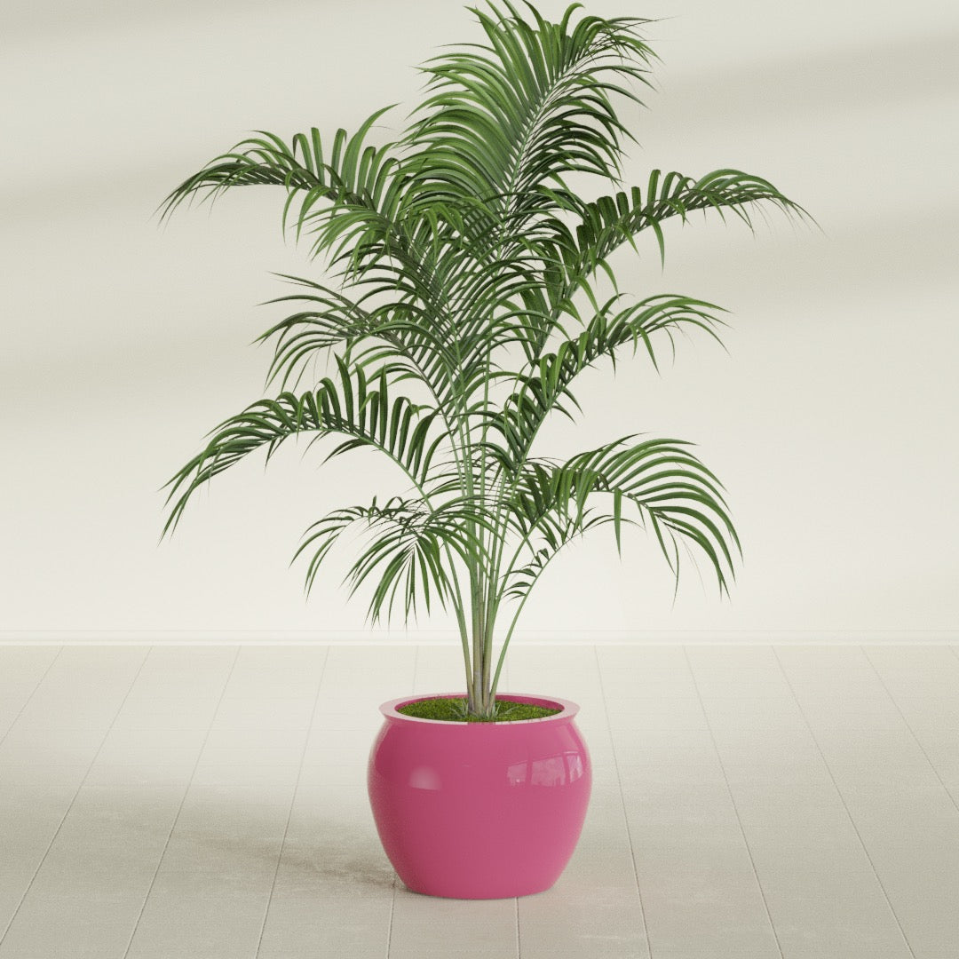 Fishbowl Small Round Fiberglass Planter - 16 in x 16 in x 14 in - Gloss Pink Violet - Gloss Pink Violet,16 in x 16 in x 14 in