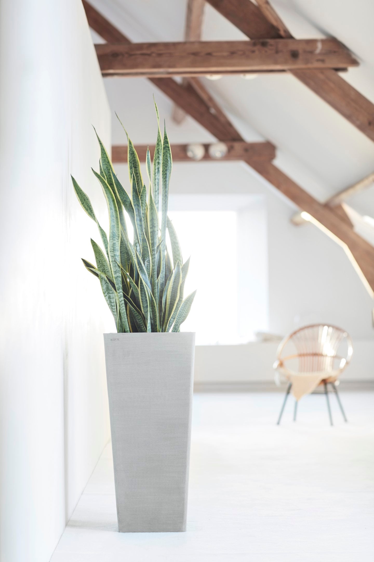 Rotterdam Medium Tall Square Planter - 12.6 in x 12.6 in x 27.5 in - Planter + Saucer - White Grey - White Grey,12.5 in x 12.5 in x 27.5 in,Planter + Saucer