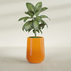Tall Hayden Medium Round Fiberglass Planter - 15 in x 15 in x 23 in - Gloss Tangerine - Gloss Tangerine,15 in x 15 in x 23 in