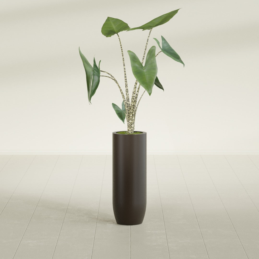 Saint Tropez Large Tall Round Fiberglass Planter - 12 in x 12 in x 32 in - Matte Brown - Matte Brown,12 in x 12 in x 32 in