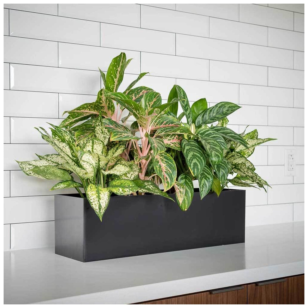 Tabletop Rectangle - 24in x 7in x 7in