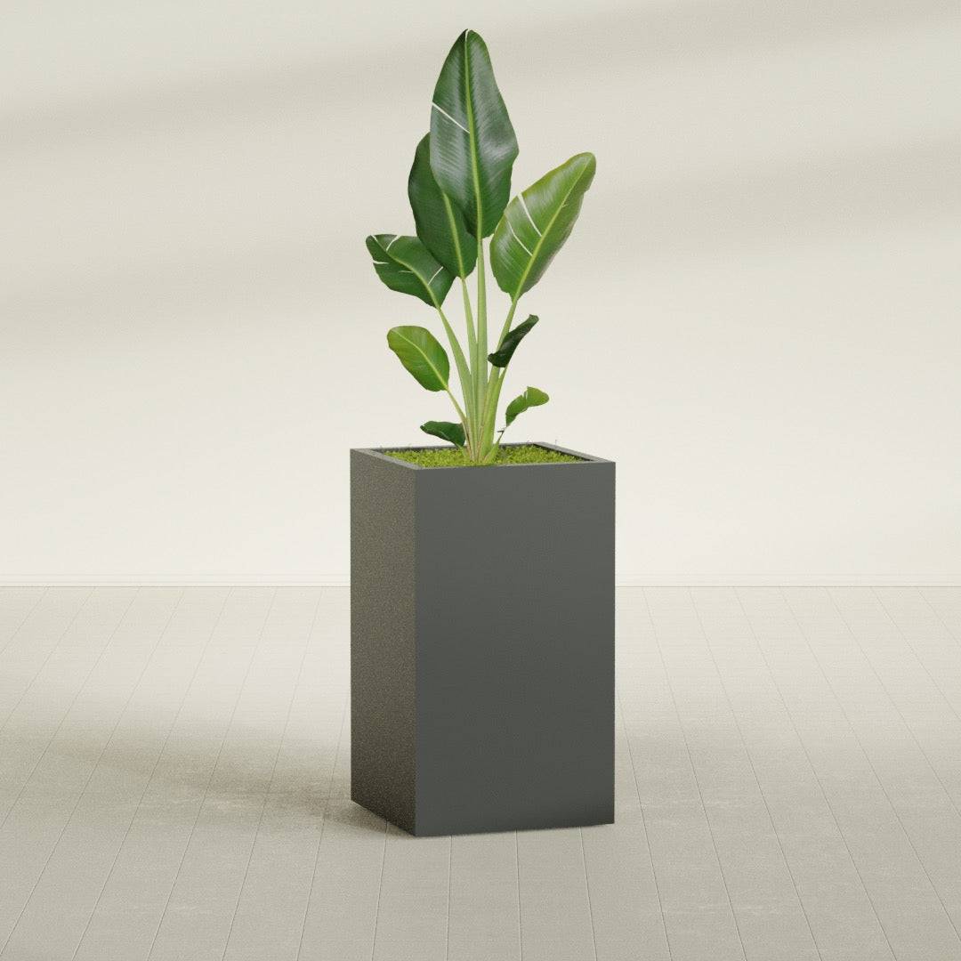 Darwin Large Tall Rectangle Fiberglass Planter - 24 in x 24 in x 42 in - Matte Charcoal - Matte Charcoal,24 in x 24 in x 42 in