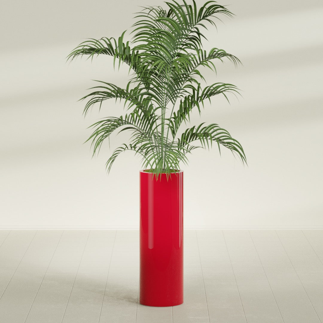Corry Large Tall Cylinder Fiberglass Planter - 12 in x 12 in x 36 in - Gloss Red - Gloss Red,30 in x 30 in x 32 in