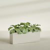 Miami Extra Large Narrow Rectangle Fiberglass Planter - 48 in x 12 in x 18 in - Satin Beige - Satin Beige,48 in x 12 in x 18 in