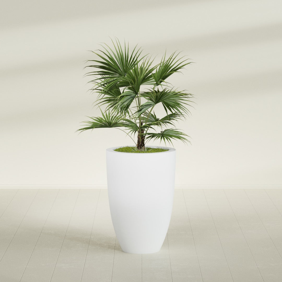 Brannan Large Round Fiberglass Planter - 24 in x 24 in x 35 in - Gloss White - Gloss White,24 in x 24 in x 35 in