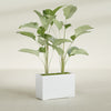 Tolga Large Rectangle Fiberglass Planter - 36 in x 16 in x 24 in - Gloss White - Gloss White,36 in x 16 in x 24 in