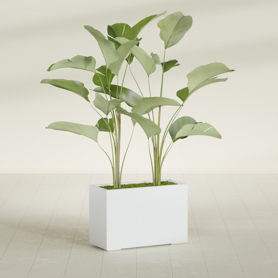 Tolga Large Rectangle Fiberglass Planter - 36 in x 16 in x 24 in - Gloss White - Gloss White,36 in x 16 in x 24 in