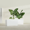Panama Large Long Rectangle Fiberglass Planter - 36 in x 12 in x 18 in - Gloss White - Gloss White,36 in x 12 in x 18 in