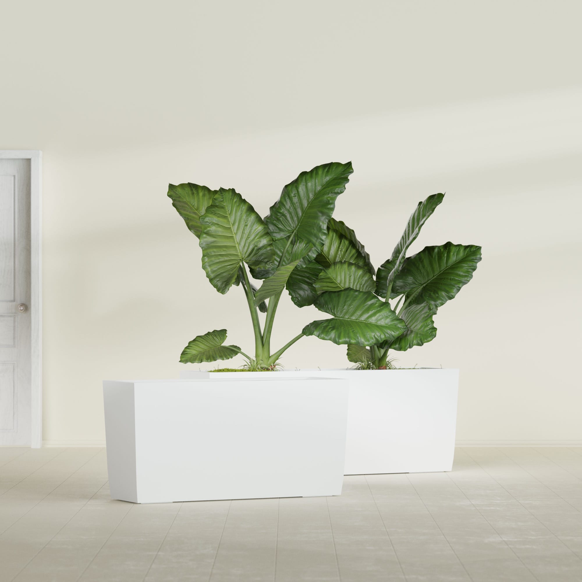 Panama Large Long Rectangle Fiberglass Planter - 36 in x 12 in x 18 in - Gloss White - Gloss White,36 in x 12 in x 18 in