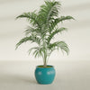 Fishbowl Small Round Fiberglass Planter - 16 in x 16 in x 14 in - Satin Sea Foam - Satin Sea Foam,16 in x 16 in x 14 in