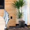 Harrison Small Round Plastic Planter - 15 in x 15 in x 13.5 in - Espresso Metallic - Espresso Metallic,15 in x 15 in x 13.5 in