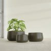 Short Hayden Small Round Fiberglass Planter - 16 in x 16 in x 8 in - Matte Bronze - Matte Bronze,16 in x 16 in x 8 in