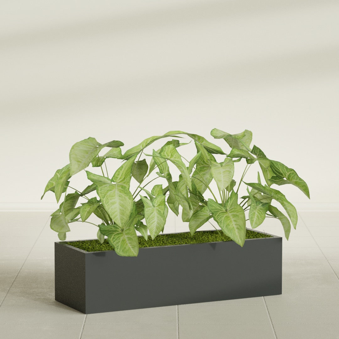 Reade Small Tabletop Rectangle Fiberglass Planter - 18 in x 6.5 in x 5 in - Matte Charcoal - Matte Charcoal,18.5 in x 6.5 in x 5 in