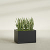 Granada Large Rectangle Fiberglass Planter - 36 in x 24 in x 24 in - Matte Black - Matte Black,36 in x 24 in x 24 in