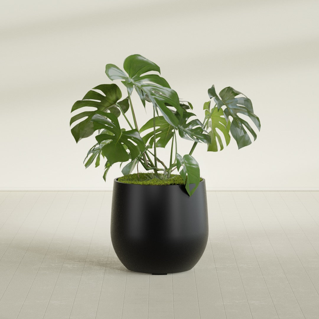 Westfield - 27in diam. x 25in - Matte Black - Matte Black,27 in diam. x 25 in H