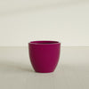 Wannsee Large Round Fiberglass Planter - 33 in x 33 in x 29 in - Gloss Eggplant - Gloss Eggplant,33 in x 33 in x 29 in