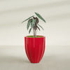 Alicante Medium Round Fiberglass Planter - 22 in x 22 in x 27 in - Gloss Red - Gloss Red,22 in x 22 in x 27 in