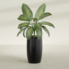 Lisbon Large Round Fiberglass Planter - 18 in x 18 in x 32 in - Matte Black - Matte Black,18 in x 18 in x 32 in