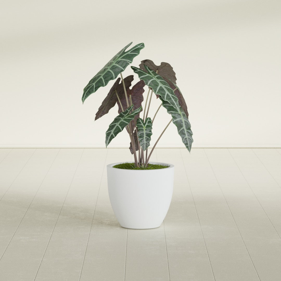Wannsee Medium Round Fiberglass Planter - 22 in x 22 in x 19 in - Gloss White - Gloss White,22 in x 22 in x 19 in