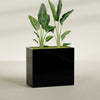 Darwin Extra Large Rectangle Fiberglass Planter - 48 in x 24 in x 42 in - Gloss Black - Gloss Black,48 in x 24 in x 42 in