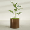 Rio Grande Medium Round Fiberglass Planter - 22 in x 22 in x 22 in - Metallic Bronze - Metallic Bronze,22 in x 22 in x 22 in