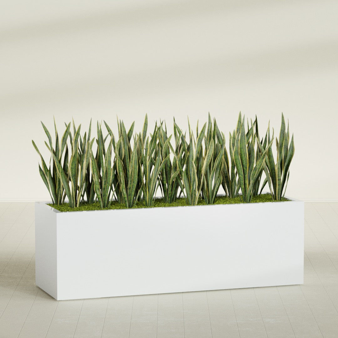 Granada Extra Large Long Rectangle Fiberglass Planter - 72 in x 24 in x 24 in - Matte White - Matte White,72 in x 24 in x 24 in