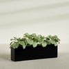 Miami Extra Large Narrow Rectangle Fiberglass Planter - 60 in x 12 in x 18 in - Gloss Black - Gloss Black,60 in x 12 in x 18 in