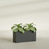 Miami Large Narrow Rectangle Fiberglass Planter - 36 in x 12 in x 18 in - Matte Charcoal - Matte Charcoal,36 in x 12 in x 18 in