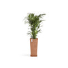 Rotterdam High Medium Square Planter - 12.6 in x 12.6 in x 27.5 in - Planter + Saucer - Terracotta - Terracotta,12.5 in x 12.5 in x 27.5 in,Planter + Saucer