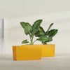 Panama Large Long Rectangle Fiberglass Planter - 36 in x 12 in x 18 in - Gloss Saffron - Gloss Saffron,36 in x 12 in x 18 in