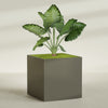 Montroy Extra Large Cube Square Fiberglass Planter - 60 in x 60 in x 60 in - Matte Bronze - Matte Bronze,60 in x 60 in x 60 in