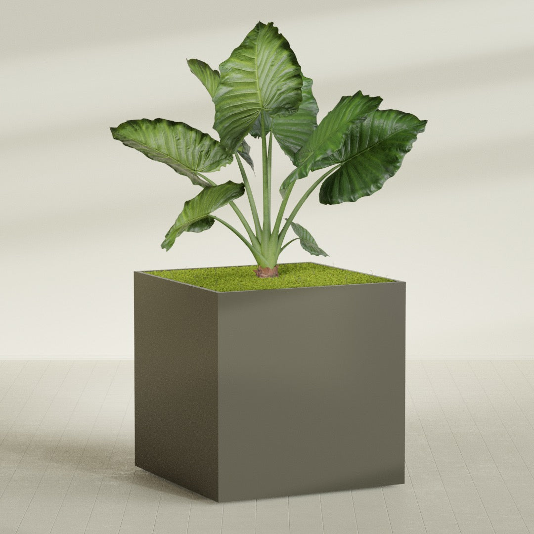 Montroy Extra Large Cube Square Fiberglass Planter - 60 in x 60 in x 60 in - Matte Bronze - Matte Bronze,60 in x 60 in x 60 in