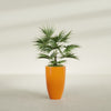 Brannan Medium Round Fiberglass Planter - 18 in x 18 in x 29 in - Gloss Tangerine - Gloss Tangerine,18 in x 18 in x 29 in